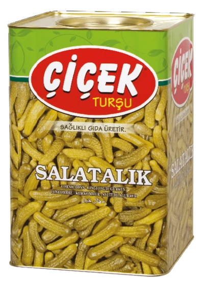 Salatalık Turşusu Teneke